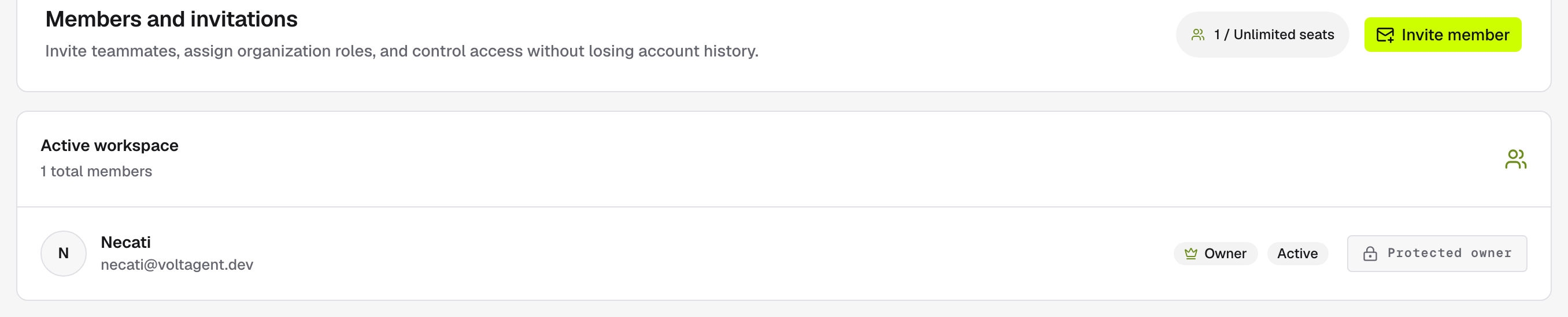 The team panel: seat count, Invite member, and the member list with role and status badges